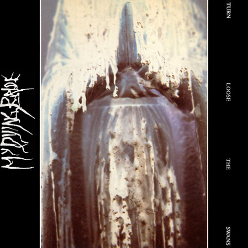 My Dying Bride - Turn Loose The Swans recenzja okładka review cover