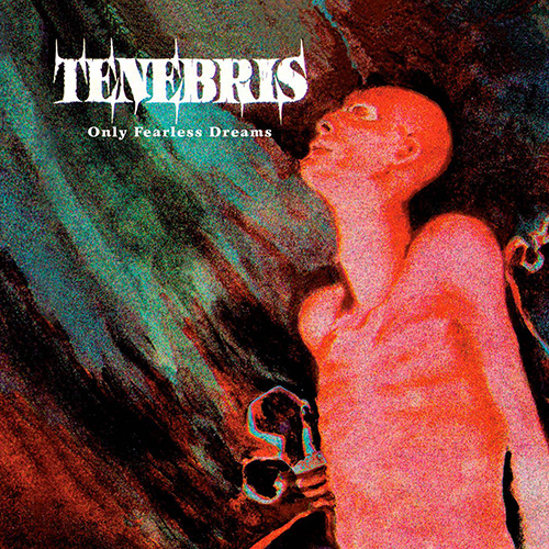 Tenebris - Only Fearless Dreams recenzja review