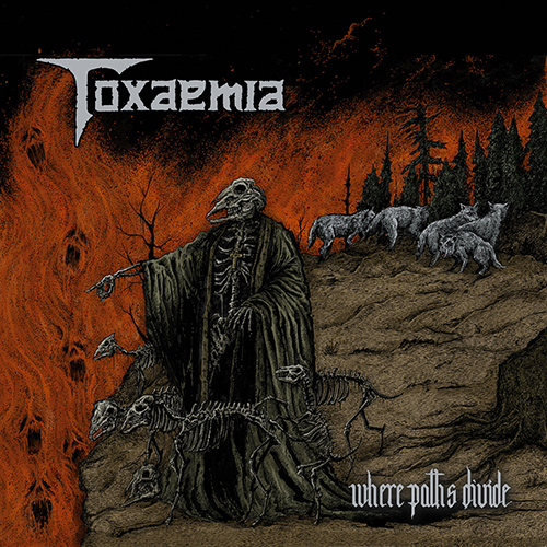 Toxaemia - Where Paths Divide recenzja review